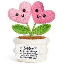 Sister Birthday Gifts - Handmade Crochet, Sister Gifts for Sisters Birthday Graduation Christmas, Gift for Sis in Law Best Friend Women Adult, Home D