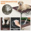 Cama elevada para perros de exterior con techo para perros grandes 6