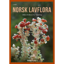 Norsk lavflora by Tor Tnsberg Paperback Book