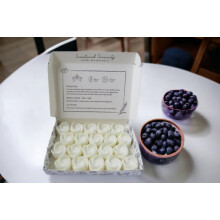 Blueberry and Vanilla Wax Melts| Strong Scented| 20 Pack| Luxury Gift Set Wax Melts| Over 96 Hrs Burn Time Per Box| Pet Friendly| Eco Friendly| Hand