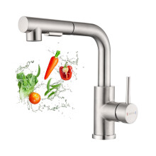 DAYONE Kitchen Taps with Pull Out Spray, Stainless Steel Sink Taps, Two Spray Function Mixer Tap Down Sprayer, 360 Swivel Single Lever Faucet, Brush