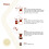 Chemex Chemex Bonded Filter - Circle - 100 ct - Exclusive Packaging 5