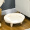 Sofá elevado para animais de estimação com pés de madeira, cor creme. 7