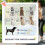 Poussette pliable marron pour grands chiens avec freins 4