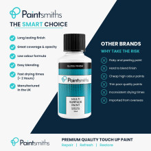 Multi Surface Paint Gloss Finish White Touch Up Paint for Metal Radi