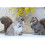 Squirrelmo artificiale, ornamento decorativo da giardino, giocattolo 5