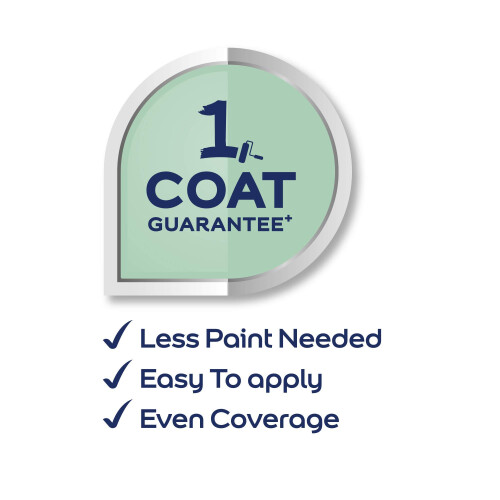 Dulux Dulux Simply Refresh Feature Wall Matt Emulsion Paint 5569239 Cannon B 2