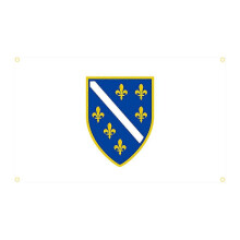 (as the picture21597, 3x5ft(90 x 150cm)) 90x150 cm Bosnia-Hercegovina BA-flagg polyestertrykt historisk dekorativt bannervev