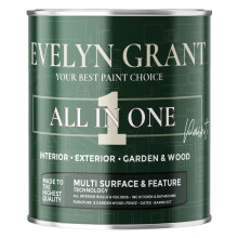 Evelyn Grant AllINONE Paint Primer MultiSurface Paint For Interior W