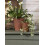 Annie Sloan Chalk Paint 1 litre (Olive) 5