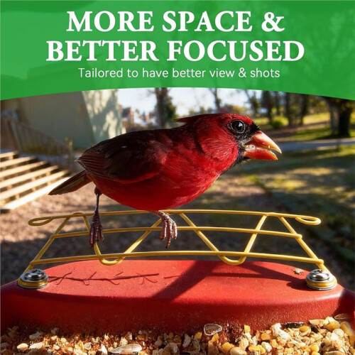 Extensor de Percha para Comederos Inteligentes Bird Buddy, Complemento Metálico con Funciones de Visualización Mejoradas 1