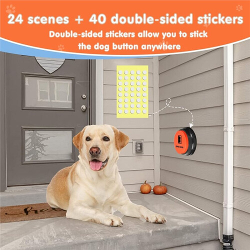 Boutons pour Chiens: Communication, Appels et Sons (30 Secondes) pour L'Éducation Canine. 1