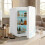 ELECWISH 20L Mini Fridge Portable Cooler Warmer 25 Cans AC/DC White 1