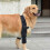 Dog Elbow Brace for Front Legs Support, Shoulders and Arthritis Relief 3