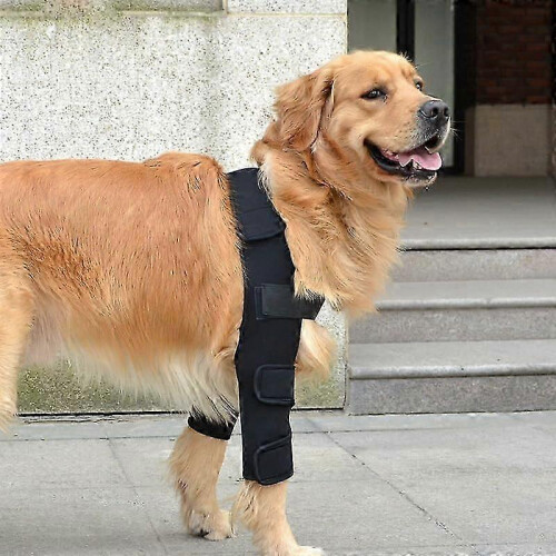 Dog Elbow Brace for Front Legs Support, Shoulders and Arthritis Relief 2