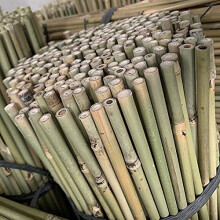 FlickBuyz 2ft - 3ft- 4ft- 5ft - 6ft Garden Bamboo Canes/Poles/Stakes/Trellis Strong Quality Plant Support Green Canes (30 X 5FT)