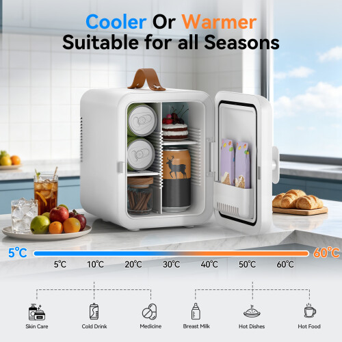 ELECWISH 4L Portable Mini Fridge Electric Tabletop Cooler Warmer with Handle AC/DC 2