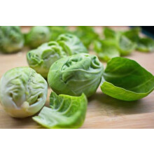 Brussels Sprout Plug Plants Grow Your Own Vegetables 'Ready to Plant Now' Young