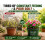 Coirology All Purpose Compost Block 5kg - Compressed Coco Coir Peat-Free Potting 4