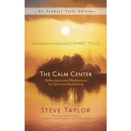 Calm Center by Steve Taylor Paperback Book