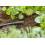 Gardena Gardena Micro-Drip-System Plug 4.6 mm (3/16 inch): Accessory for sealing supply 1