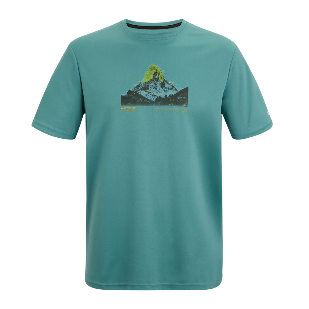 Regatta (4Xl, Arctic) Mens Fingal Mountain Scene T-Shirt