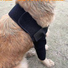 Dog Elbow Brace, Size L, Targeted Support for Shoulders Front Legs, Relieves Dislocations Pressure Sores Arthritis Injuries, Adjustable Breathable