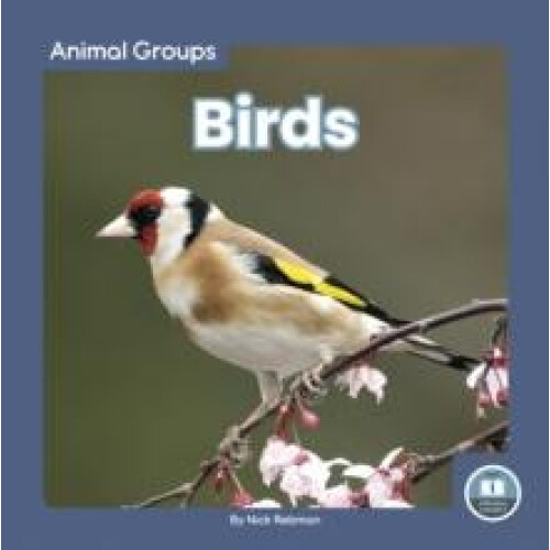 Birds by Nick Rebman Hardcover Book