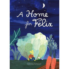 Home for Felix A by Stephanie Kientzle... DemassePottier Hardcover Boo