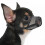 Dog Muzzle, Soft Mesh Mask Compatible with Small and Medium Breeds for Walking, Training and Vet Visits 1