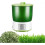 Automatic Bean Sprouts Machine with Smart Growth Control for Home, Classroom, Commercial Use 1