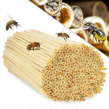 Tubi per nidificazione di api selvatiche, idrorepellenti, 600 pezzi, diametri misti 6 mm e 8 mm, lunghezza 15 cm, per riempimento hotel per insetti