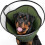 Soft Recovery Collar for Large Dogs, Wound Protection and Healing Support E-Collar Alternative, Adjustable Size 1