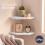 Levede 2 Pack Floating Corner Shelves Cable Cut-Out Wall Mounted Storage White 1