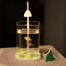 -Tischaquarium Aus Glas mit Farbigem Kristall-LED-Licht, Tischornamente, Hochwertige Dekolampe A