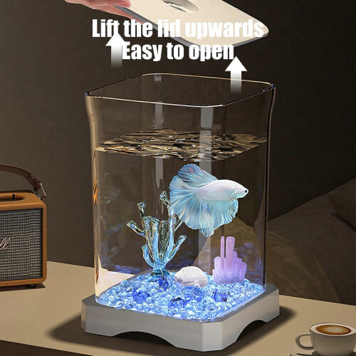 Aquário de Mesa Pequeno 7 Polegadas com Filtro e Iluminação LED, Formato Cubo Branco para Decoração 2