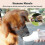 Dog Muzzle, Soft Mesh Mask Compatible with Small and Medium Breeds for Walking, Training and Vet Visits 4