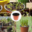 Vaso de Plástico para Plantas com Furos de Drenagem e Ventilação 4
