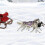 Dog Mushing Harness for Sledding and Running with Reflective Elements, Blue 2