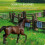 Pet Massage Automatic Scratcher for Large Animals, PP Material for Fence Post Mounting 4