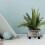 Chariot De Plantes, Support De Pot De Fleurs, Porte Plante 5