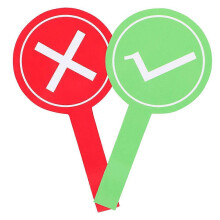 Classroom Hand Display Paddles, 2 Pack, Double Sided True False Yes No Voting Signs, Foam, Assorted Colour, for School Activities Events Games
