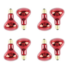 100W 8x Infrared Heat Lamp Bulb Red Light Heat Bulbs for Pet Lizards Bearded Dragons Chameleons Snakes Reptiles 220V