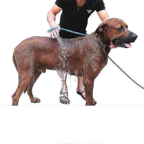 Haustierbadebürste, Duschspray, Massagedüse & Hundebadeset 1
