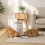 PawHut PawHut Automatic Cat Feeder Timed Portion Control 4L 8