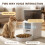 PawHut PawHut Automatic 4L Cat Feeder with Camera, 2.4G WiFi, Smart APP Control 7