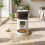 PawHut PawHut Automatic 4L Cat Feeder with Camera, 2.4G WiFi, Smart APP Control 9