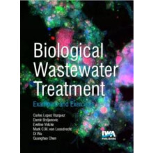 Biological Wastewater Treatment by Damir Brdjanovic Paperback Book
