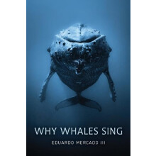 Why Whales Sing by Mercado Eduardo III Hardcover Book