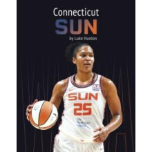 Connecticut Sun by Luke Hanlon Hardcover Book